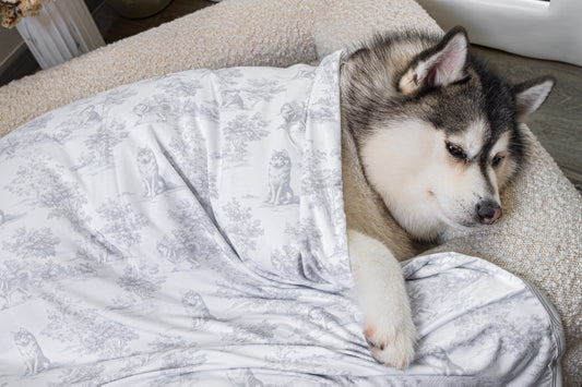 Husky Puppy Toile Print - Double Layer Bamboo Blanket