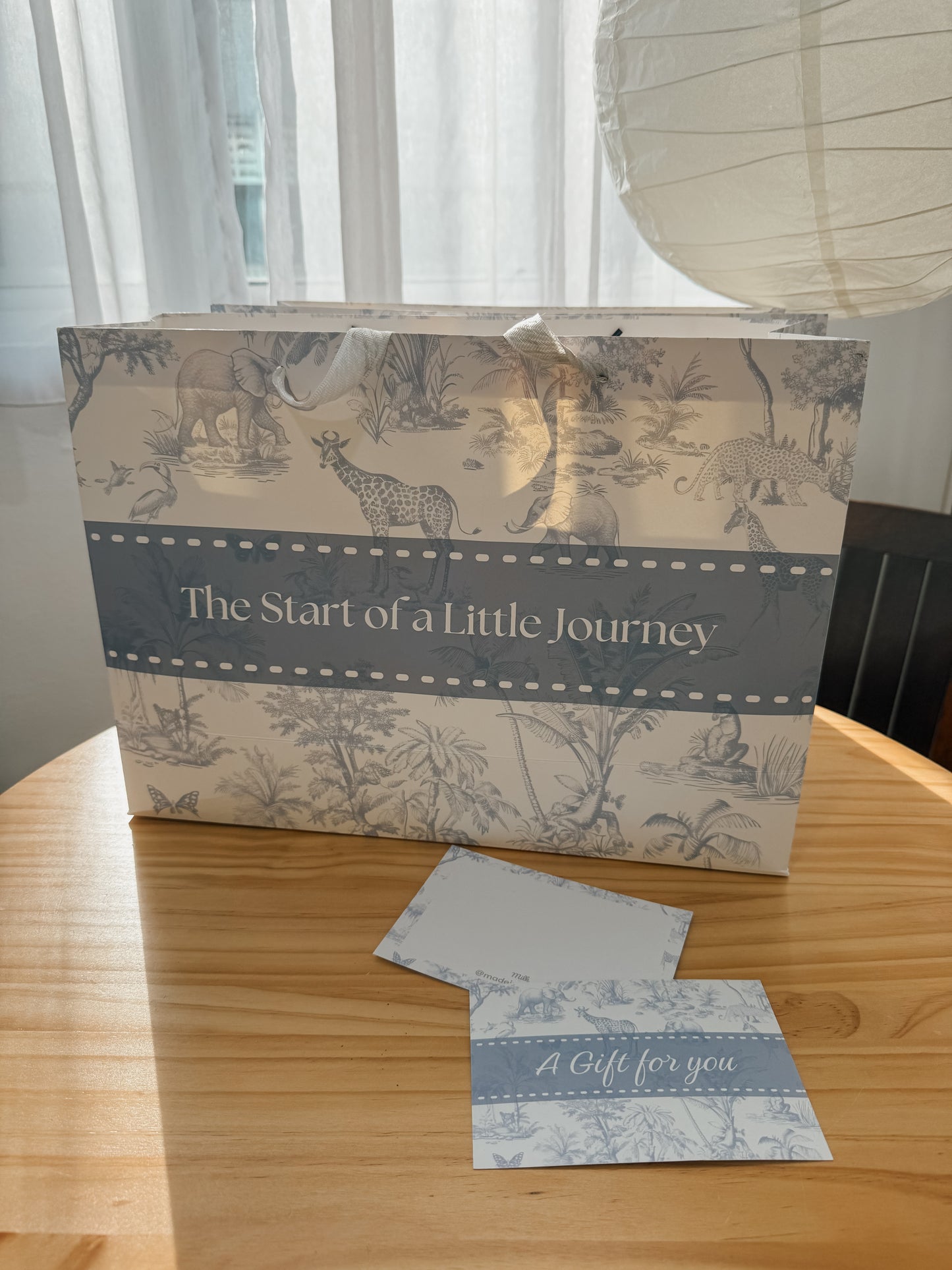 Gift Bag & Gift Card